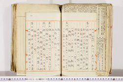 明い025020100004.jpg