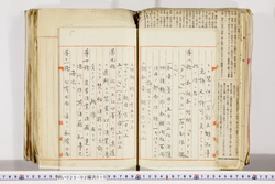 明い025020100005.jpg