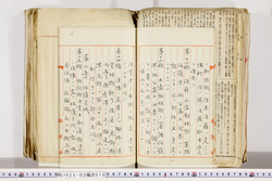 明い025020100006.jpg