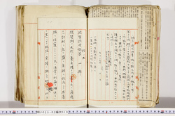 明い025020100011.jpg