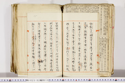 明い025020100015.jpg