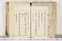 明い025020100019.jpg