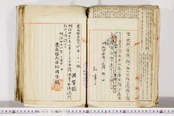 明い025020100020.jpg