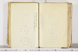 明い025020100104.jpg