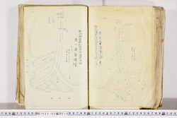明い025020100130.jpg