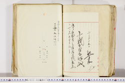 明い025020100146.jpg