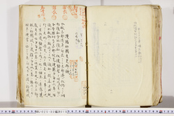 明い025020100170.jpg