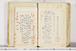 明い025020110005.jpg