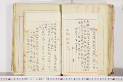 明い025020110006.jpg