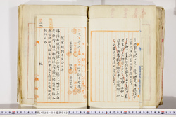 明い025020120003.jpg