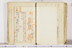 明い025020130003.jpg
