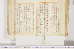 明い025020140003.jpg