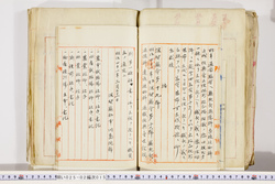 明い025020150002.jpg