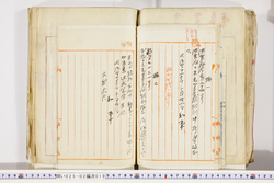 明い025020190002.jpg