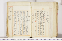 明い025020190012.jpg