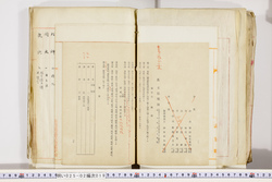 明い025020190016.jpg