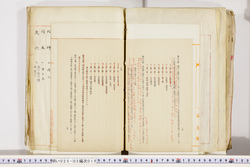 明い025020190019.jpg