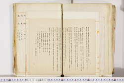 明い025020190020.jpg
