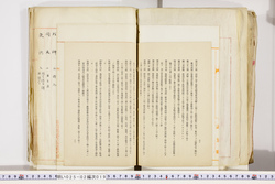 明い025020190021.jpg