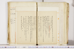 明い025020190022.jpg
