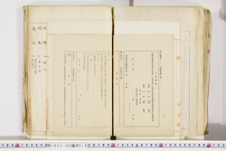明い025020190023.jpg