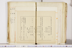 明い025020190024.jpg
