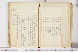 明い025020190031.jpg