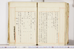 明い025020190043.jpg