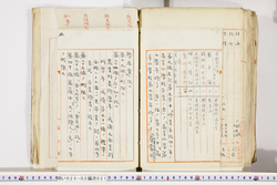 明い025020210004.jpg
