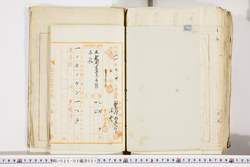 明い025020210007.jpg