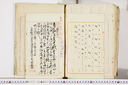 明い025020210010.jpg