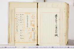 明い025020210011.jpg