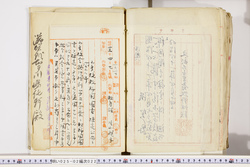 明い025020220004.jpg