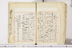 明い025020220005.jpg