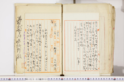 明い025020220006.jpg