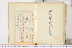 明い025020220010.jpg