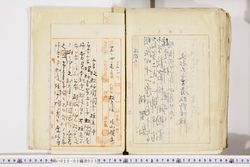 明い025020230003.jpg