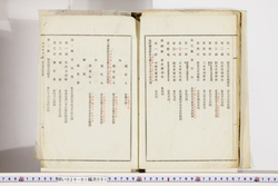 明い026010010006.jpg