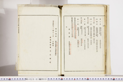 明い026010010011.jpg