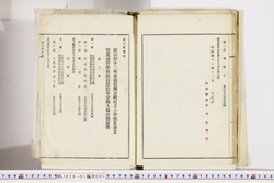 明い026010010019.jpg