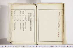 明い026010010026.jpg