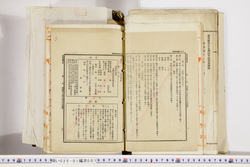 明い026010070005.jpg