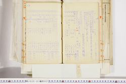 明い026010070019.jpg
