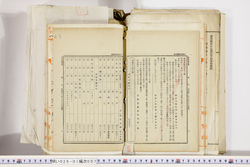 明い026010070031.jpg