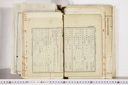 明い026010070040.jpg