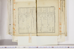 明い026010070041.jpg