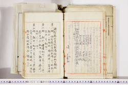 明い026010080003.jpg