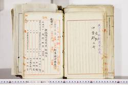明い026010100003.jpg