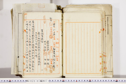 明い026010110003.jpg