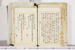 明い026010120002.jpg